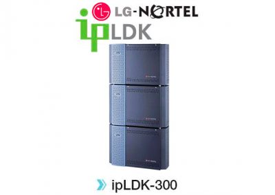 ipLDK-300